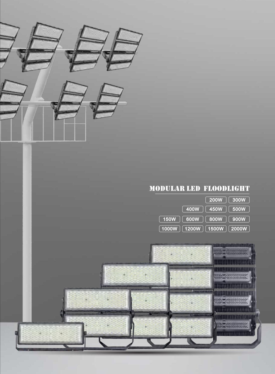 High lumen module floodlight 
