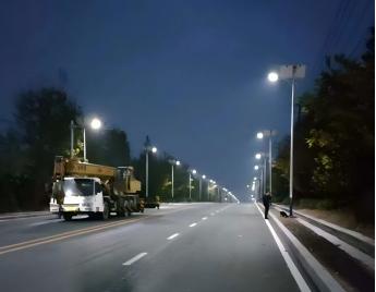 2024 Tanzania 490 Sets Sirius Solar Street Light Project Successfully Delivered